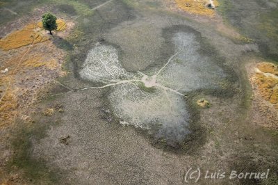 Okavango delta6