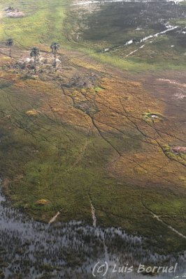 Okavango delta12