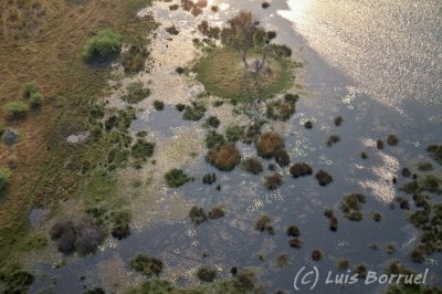 Okavango delta15