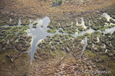 Okavango delta18