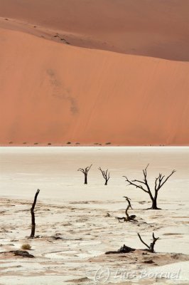 Sesriem deadvlei2