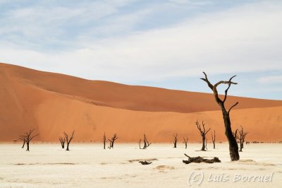 Sesriem deadvlei5