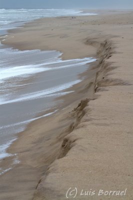 Skeleton Coast4