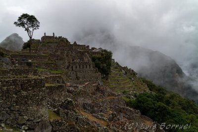 MachuCiudadela.jpg