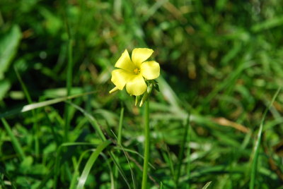 DSC_0007.JPG