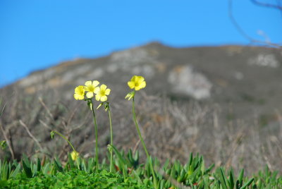 DSC_0009.JPG