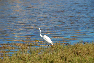 DSC_0106.JPG