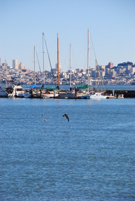 DSC_0138.JPG