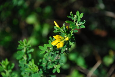 DSC_1098.JPG