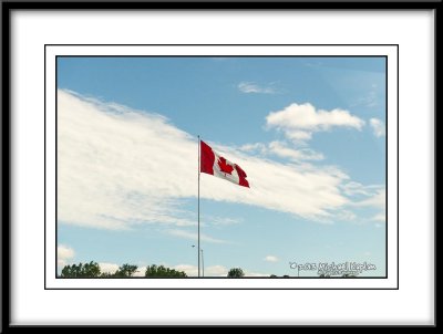 _IMG3592.jpg