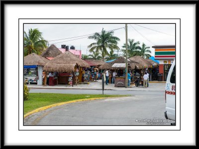 _IMG8444.jpg