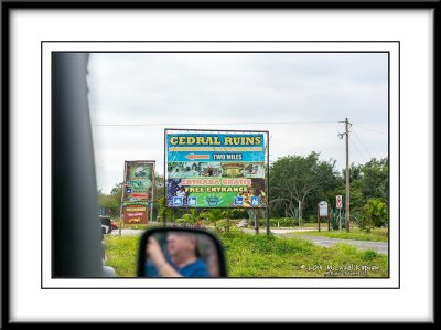 _IMG8450.jpg