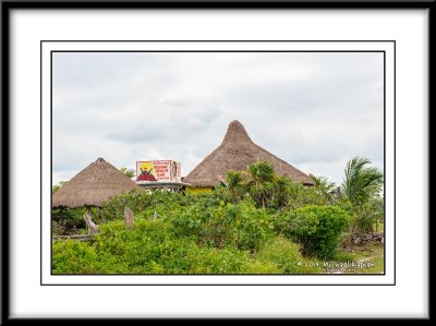 _IMG8506.jpg