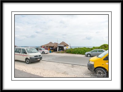 _IMG8517.jpg