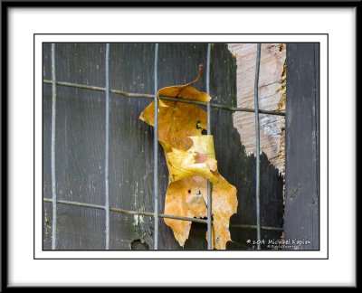 IMG_2793.jpg
