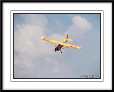 IMG_2337.jpg