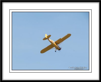 IMG_2339.jpg