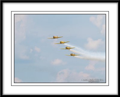 IMG_2481.jpg