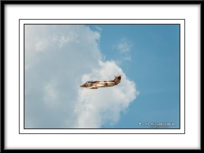 _DSC0806.jpg