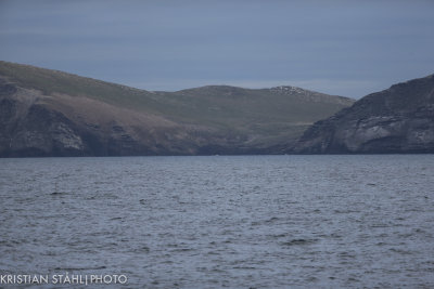 Falkland IslandsApproaching Carcass Island 14120315.jpg