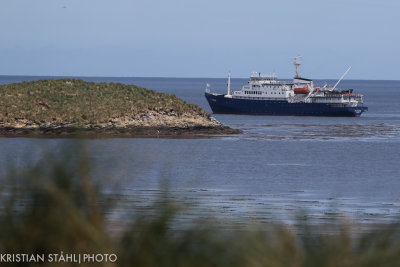 Plancius off Carcass Island 14120367.jpg
