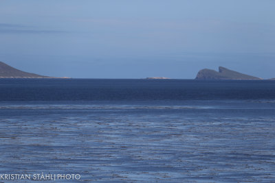 View from Carcass Island 14120369.jpg