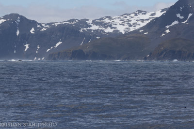 Approaching Right Whale Bay South Georgia 141207 61.jpg
