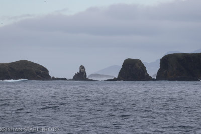 Right Whale Bay -Rositas Harbour 141207 134.jpg