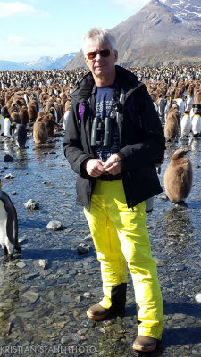 King Penguin Aptenodytes patagonicus Gold Harbour 1412103.jpg