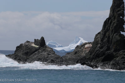 Elephant Island141213 26.jpg