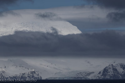 Elephant Island141213 45.jpg