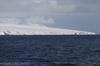 Off Brown Bluff Antarctic peninsula 141214 27.jpg