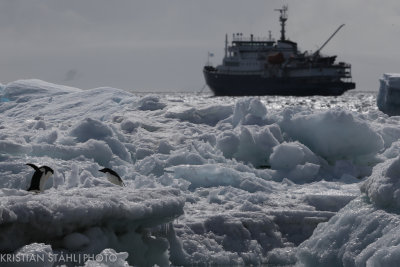 Brown Bluff Antarctic peninsula 141214 38.jpg
