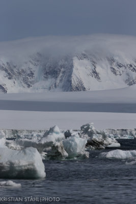 Brown Bluff Antarctic peninsula 141214 46.jpg