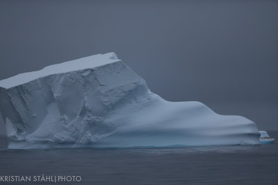 Hope Bay - Mikkelsen Harbour Antarctic peninsula 141214 92-2.jpg