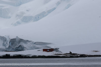 Off Mikkelsen Harbour Antarctic peninsula 141215 7.jpg