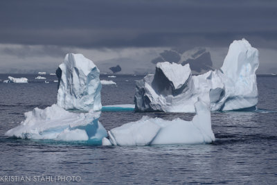 Mikkelsen Harbour - Charlotte Bay Antarctic peninsula 141215 59.jpg