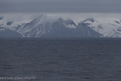 MednyCommander Islands - Zhapanova Kamchatka 20160530.jpg