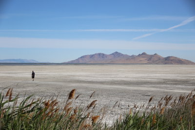 A lonly Walk to the Salt Lake