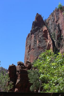 Zion National Park