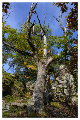 DSC_7740_FR_ copy.jpg