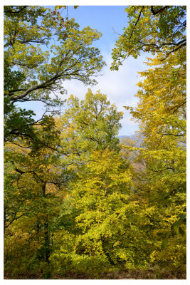 DSC_7764_FR_ copy.jpg