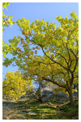 DSC_7857_FR_ copy.jpg