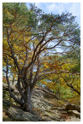 DSC_8089_FR_ copy.jpg