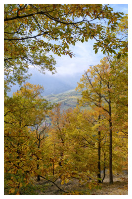 DSC_7971_FR_ copy.jpg