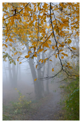 DSC_8353_FR_ copy.jpg