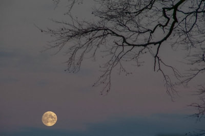 16th November 2013  the moon