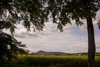 1st June 2014 Balquhain