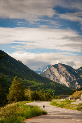 DSC_8795-001.jpg