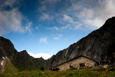 DSC_8821-001.jpg